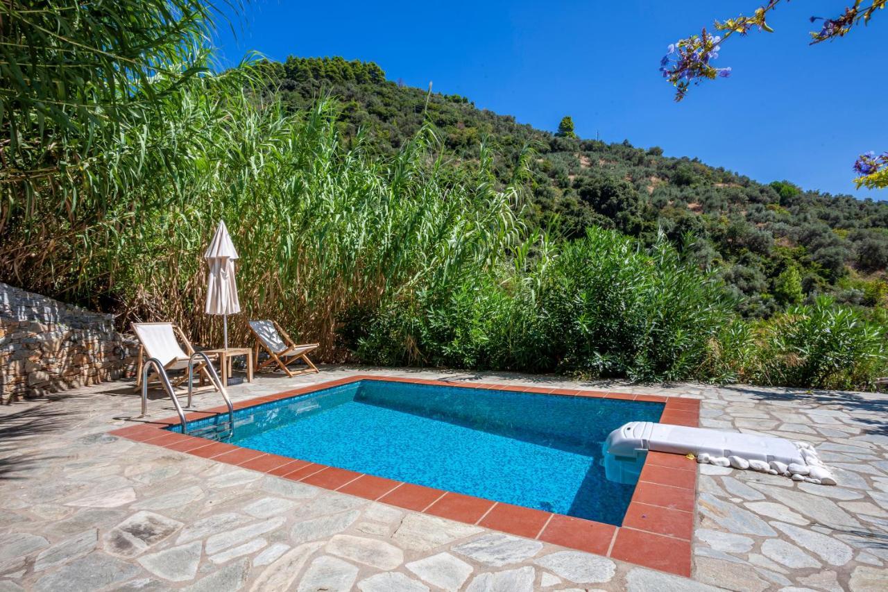 Olea Skopelos Villas With Swimming Pools & Sea View Panormos  Екстериор снимка