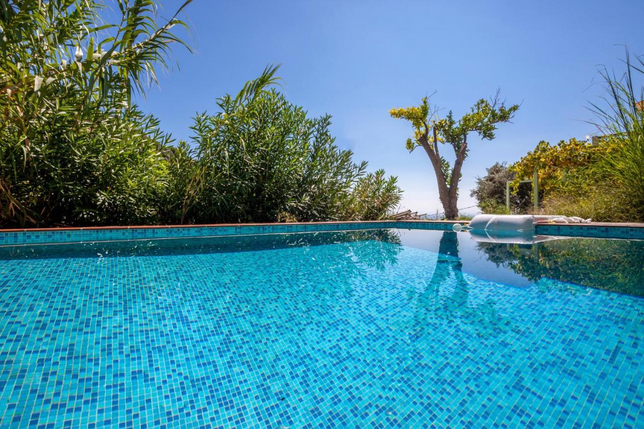 Olea Skopelos Villas With Swimming Pools & Sea View Panormos  Екстериор снимка