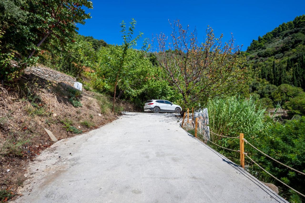 Olea Skopelos Villas With Swimming Pools & Sea View Panormos  Екстериор снимка